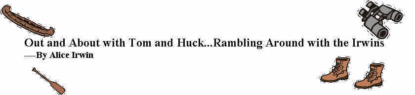 Tom and Huck2.jpg (16217 bytes)